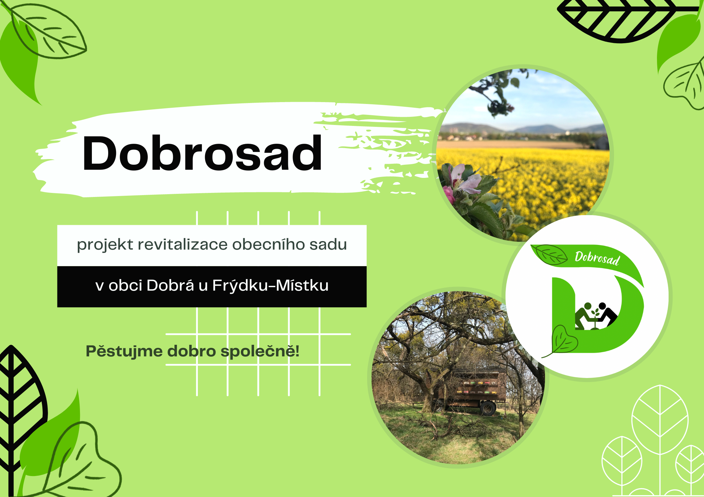 Featured image for “Dobrosad”