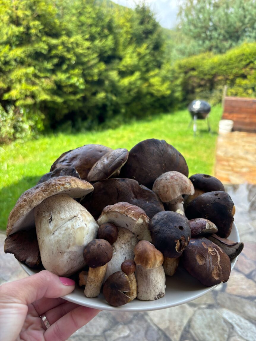 Nalezeno cestou k Rolandovu kameni