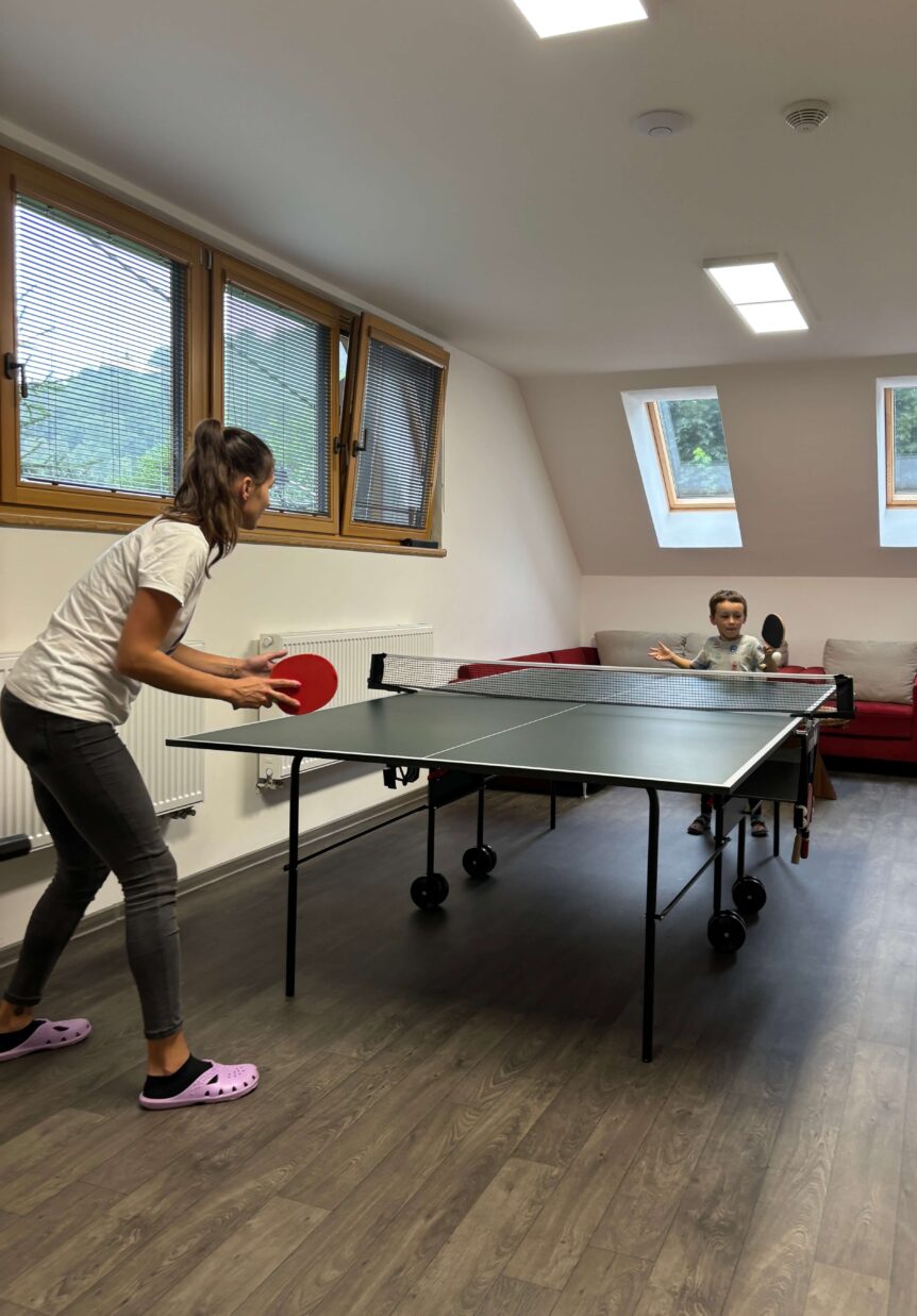 Interiér Chalupy na Bílé Opavě - pinec